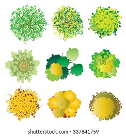 Plants and Trees  top view set 3 for Landscape design , vector illustration