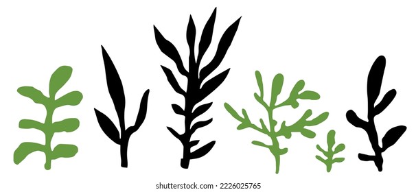 Plants with twigs and branches with foliage and leafage. isolated seaweed for aquarium. Botany and flowers biodiversity and greeting card decoration. Flora ornament motif. Vector in flat style