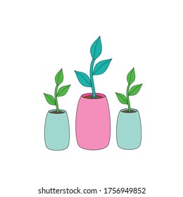 plants in vases vector hand drawn 