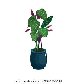 Diseño de vectores de plantas. Descarga de diseño de vectores.