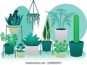Plants Vector. Houseplants set illustration.