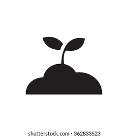 Plants vector icon