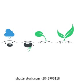 plants vector icon. evolution of seed growing