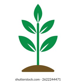 plants vector icon on white background