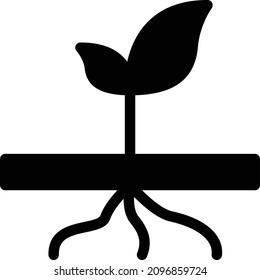 plants vector illustration isolated on a transparent background. glyph vector icons for concept or web graphics.