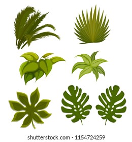 Plants vector /  illustrations isolated on white / Leaves vector