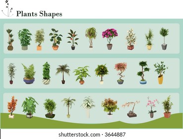 Plants vector shapes