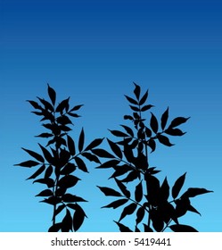 plants vector streaming up