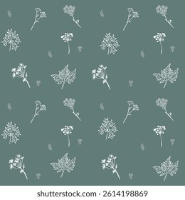 plants are white on the background. pattern.a pattern of plants and herbs