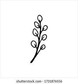 
Plants, willow twig, flowers . Cute drawing by hand. Vector illustration in doodle style. Isolate on a white background.