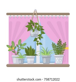 Plants and window. Isolated interior and green decoration.
