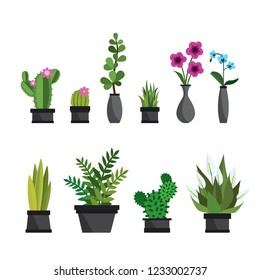 Plants,flowers and cactus in pots,natural elements,isolated on white background,flat vector illustration
