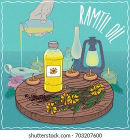 Plastic Bottle of Ramtil oil and Guizotia abyssinica plant. Hand filling ancient oil lamp. Natural vegetable oil used as fuel for oil lamp. Vector illustration