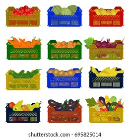 Plastic boxes with vegetables. Vector illustration