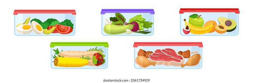 Contenedores de plástico con diferentes alimentos almacenados dentro de un conjunto de vectores