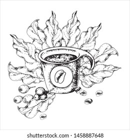 A plastic cup of coffee, with a sticker in the form of a coffee bean, decorated with berries and leaves of coffee tree, hand-drawn on paper, in the form of a black and white contour.