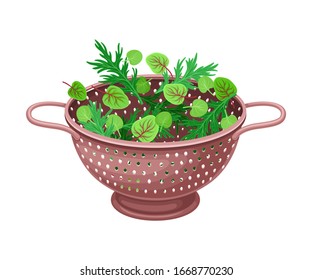 Plastic Kitchen Colander or Strainer with Greenery Inside Vector Illustration