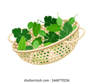 Colador de cocinas plásticas o Strainer con vegetación interior Ilustración vectorial