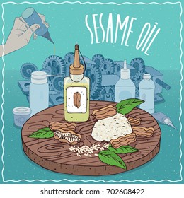 Plastic Oil Can of Sesame oil and Sesame seeds. Hand lubrication mechanism. Natural vegetable oil used as grease lubricant. Vector illustration