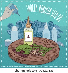 Plastic Oil Can of Shorea robusta seed oil and leaves and seeds of Shorea robusta plant. Hand lubrication mechanism. Natural vegetable oil used as grease lubricant. Vector illustration