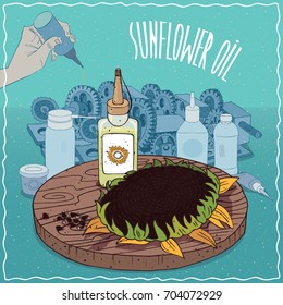 Plastic Oil Can of Sunflower oil and disk of Helianthus plant. Hand lubrication mechanism. Natural vegetable oil used as grease lubricant. Vector illustration