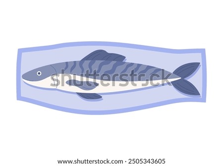 Plastic package with trout, top view of styrofoam container with fish vector illustration
