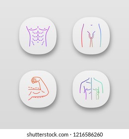 Plastic surgery app icons set. Male body contouring, penis enlargement, arm lift surgery, men coolsculpting. UI/UX user interface. Web or mobile applications. Vector isolated illustrations
