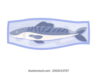 Bandeja de plástico con trucha, vista superior de la placa blanca con envoltura de película y Ilustración vectorial de pescado