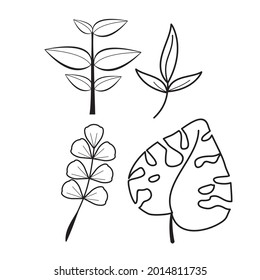 plat leaf nature icon set