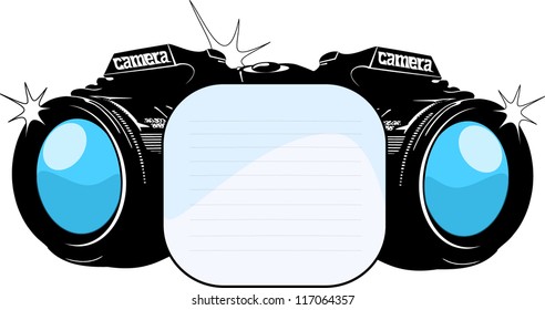 plate cameras
