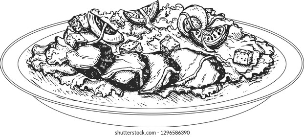 Plate with chicken salad on table.Vector sketch with salad hand drawn doodle. Illustration for menus, recipes and packages product. Caesar Salad 