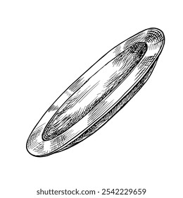 Un plato de platos. Vector que representa una placa de cerámica vacía. Una ilustración dibujada a mano en blanco y negro. Un elemento de diseño de cocina, receta, menú. Para carteles, etiquetas y paquetes.