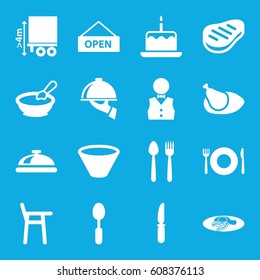 Plate icons set. set of 16 plate filled icons such as dish, porridge, cake with one candle, fried egg and bacon, spoon, knife, cargo height, beef, chicken, waiter
