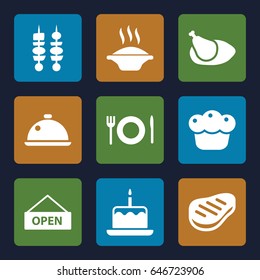 Plate icons set. set of 9 plate filled icons such as cake with one candle, beef, kebab, pie, chicken, dish