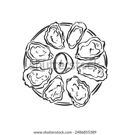 A plate of oysters displayed in a circle with a segment of lemon in the centre. The perfect vector for a restaurant menu or logo. Drawn by hand in a sketch doodle style.