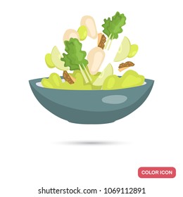 Plate with salad color flat icon