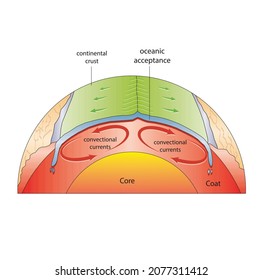 Plate Tectonics, Tectonic Processes, Interactions Of The Tectonic Plates, Types Of Plate Boundaries, Mountain Formation, Convergent Boundary, Reverse Fault Movement, Geophysics, Geology, Landform
Cont