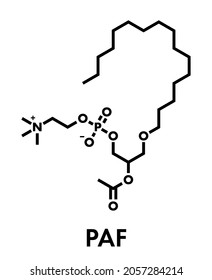 Platelet Activating Factor (PAF) signaling molecule. Skeletal formula.