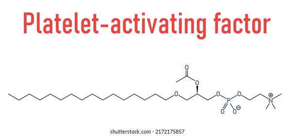 Platelet Activating Factor or PAF signaling molecule. Skeletal formula.