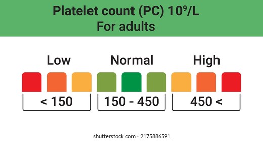 Platelet Count Adults Human Blood Applicable Stock Vector (Royalty Free ...