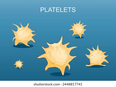 Thrombozyten. Nahaufnahme von Thrombozyten. Setzen Sie Symbole. Komponente des Blutes für die Gerinnung. isometrische flache Vektorillustration