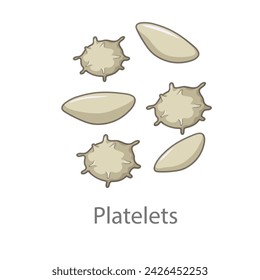 Platelets. Diagram of common stem cell types. Science banner isolated on background. Medical microscopic molecular conception. Premium Illustration file svg