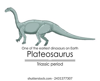 Plateosaurus, one of the earliest dinosaurs on Earth, appeared during the Triassic period, colorful illustration on a white background