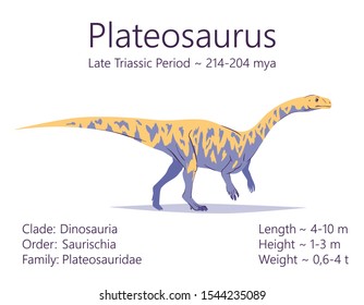 Plateosaurus. Sauropodomorpha dinosaur. Colorful vector illustration of prehistoric creature plateosaurus and description of size, weigh and period of life isolated on white background. Fossil dino.