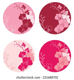 Plates design with orchids