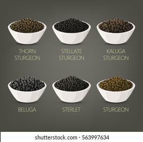 Plates with salty food like thorn sturgeon caviar and russian stellate black caviare, kaluga and sterlet roe in bowl. Eating appetizer and meal luxury tasty ingredient. Vegetarian store or restaurant.