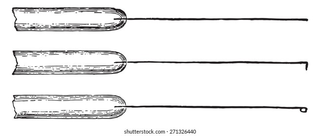 Platinum inoculating needles mounted in glass rods, vintage engraved illustration. 