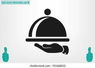 platter icon vector illustration