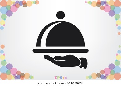 platter icon vector illustration 