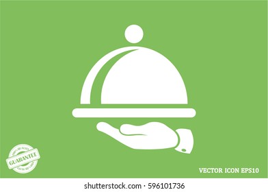 platter icon vector illustration eps10